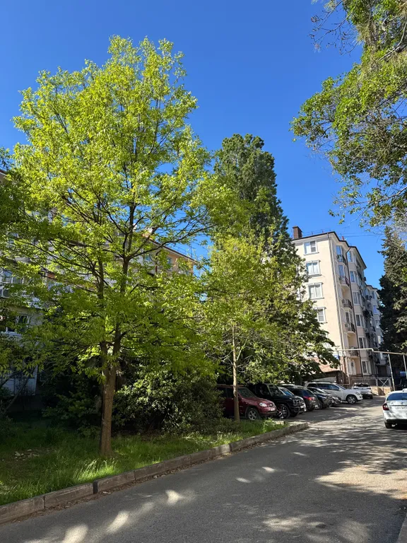 Квартира Уютная квартира в центре города — Адлер