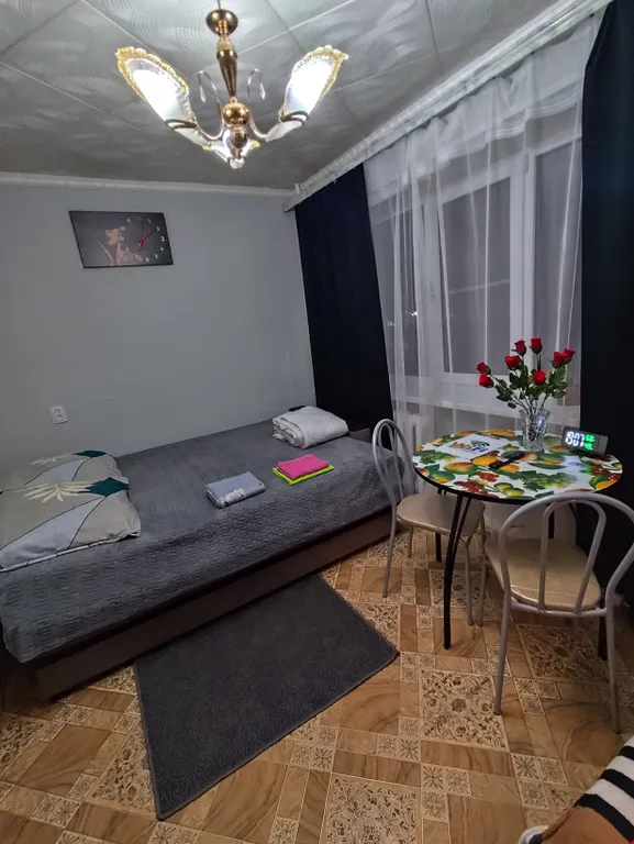 2-х комнатная квартира, рядом трасса м4-дон, Р193-тамбов, Онкоцентр Остужева 31 — аренда посуточно в Воронеж