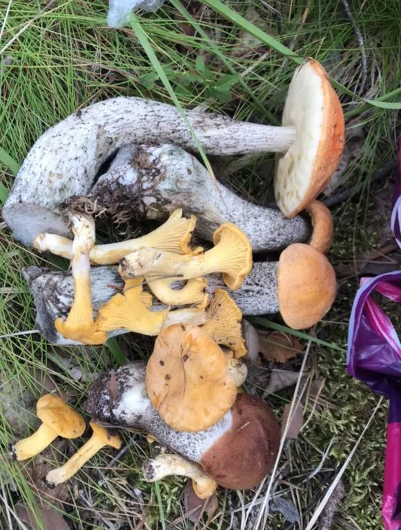 Дом на берегу озера