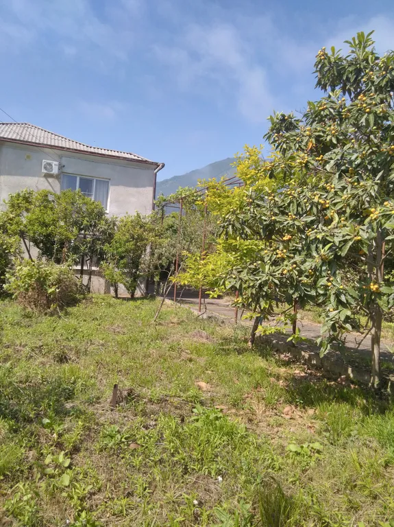 Квартира Комната с удобствами — Гагра