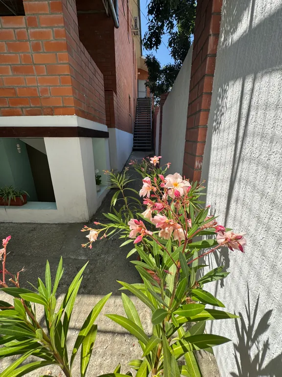 Тихий уголок. Двухместный номер