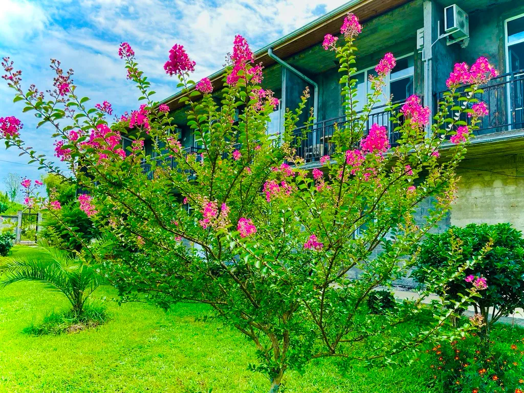 Квартира Квартира Гостевой дом "Витторио" с панорамным видом на горы — Гагра