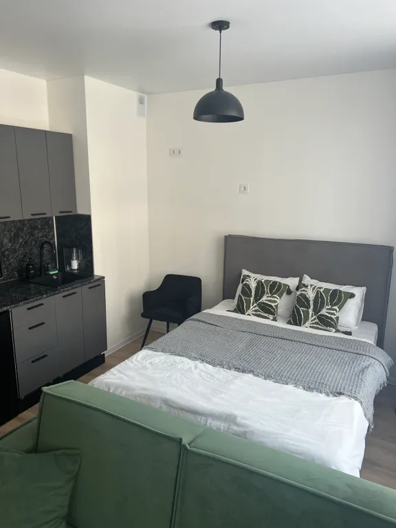 Квартира Студия Бруклин в микрорайоне Пригород Лесное — Мисайлово