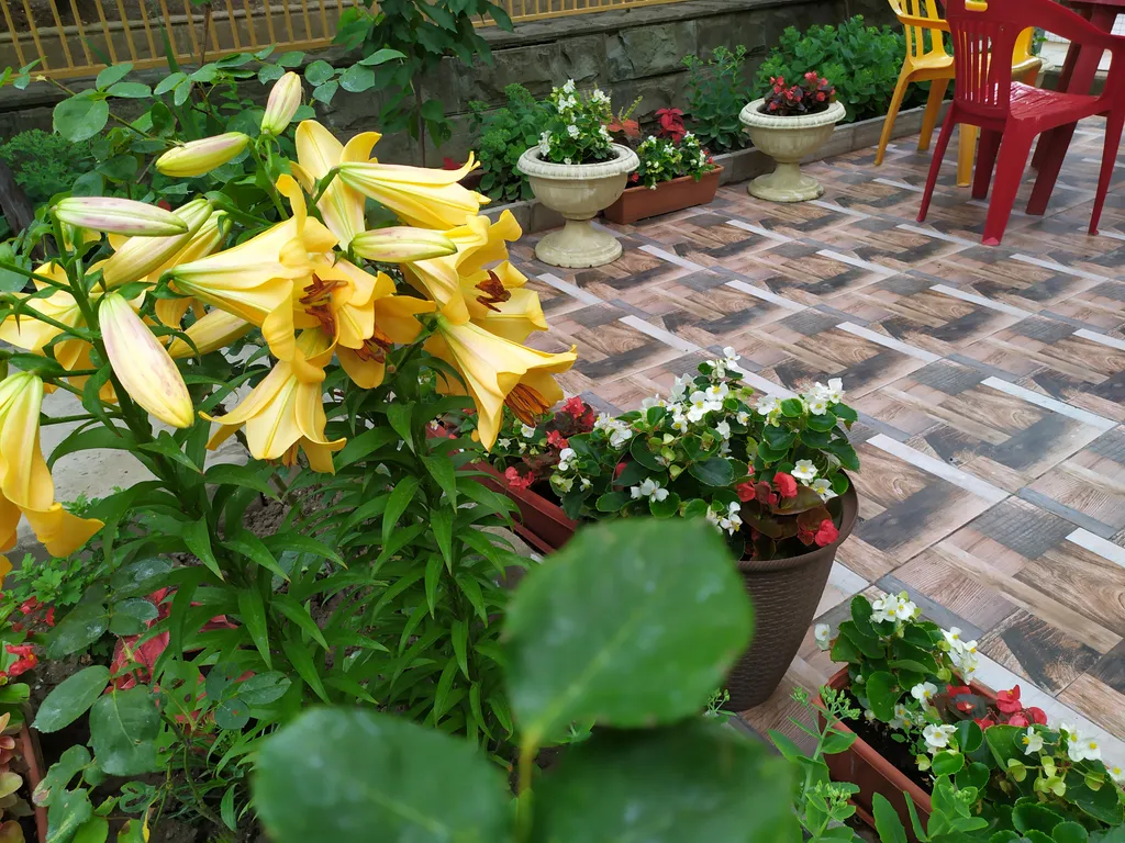 Коттедж Уютный домик утопающий в зелени — Геленджик