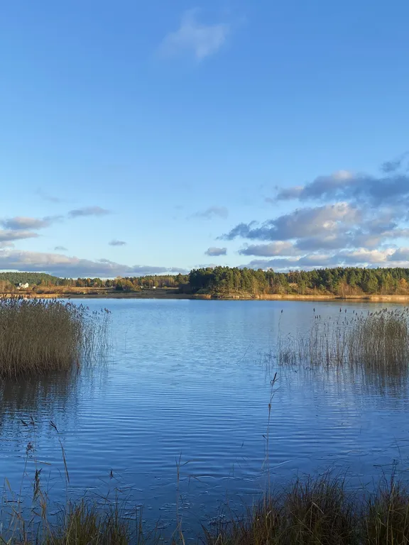 Дом на берегу Ладоги