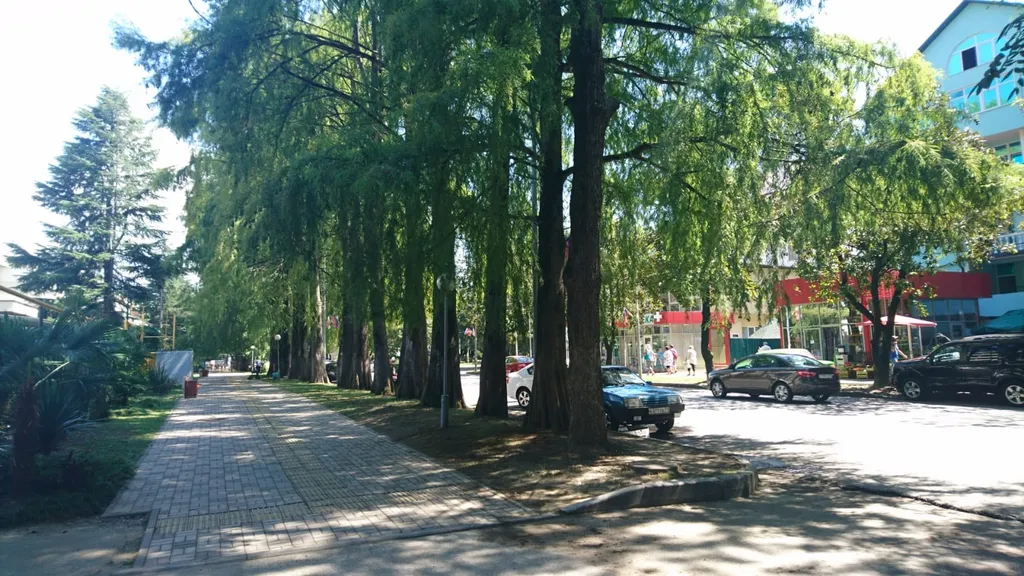 Квартира Квартира для отдыха на море — Адлер