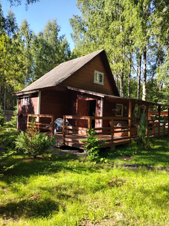 Дом в лесу недалеко от Волги