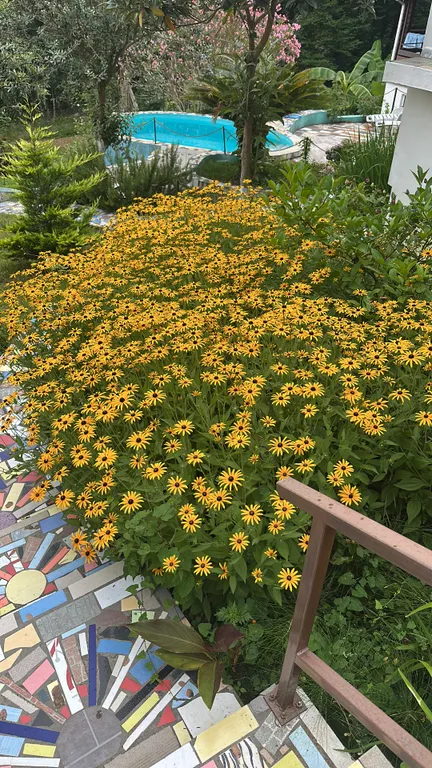 Уютная квартира в окружении леса