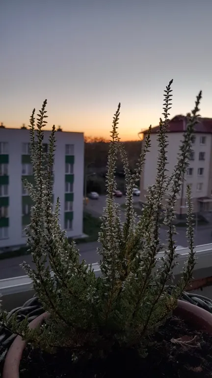 Карелия Сортавала 2 комнатная квартира, wi-fi, парковка, рядом кафе, озеро