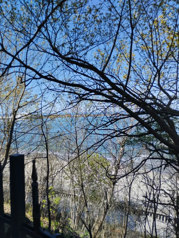 Бухта счастья