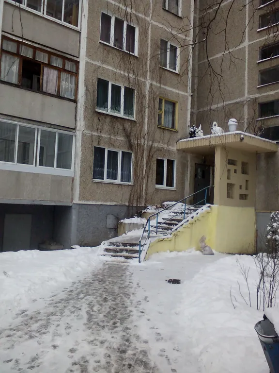 Квартира 1-комнатная Квартира — Минск
