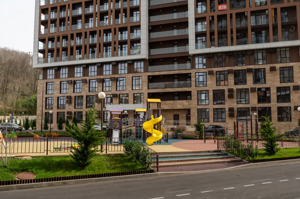 Студия с красивым видом на лесопарк