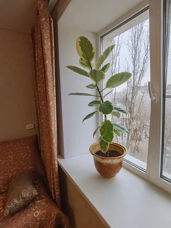 Уютная квартира возле автовокзала