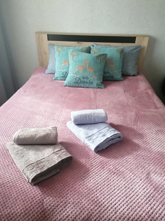 Уютная квартира — аренда посуточно в Петропавловск-Камчатский