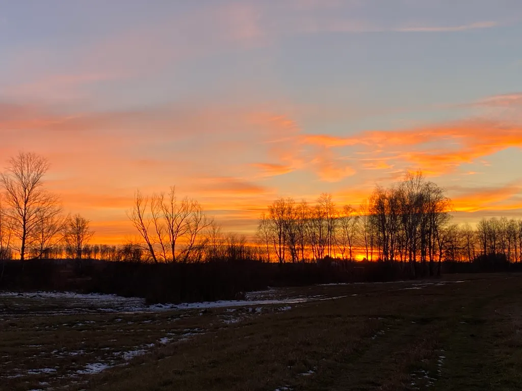Уединенный дом у леса вблизи г.Ишим