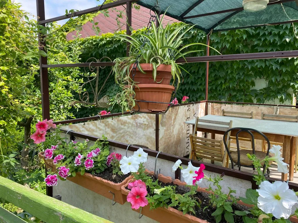 Уютная видовая студия