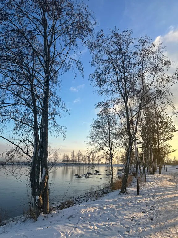Квартира в Talojarvi на первой береговой линии Онежского озера