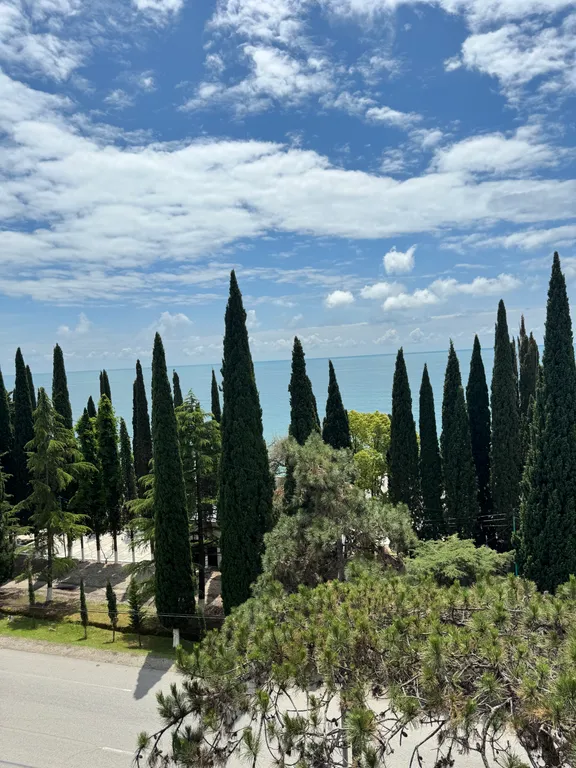 Новый Афон кв. Студия