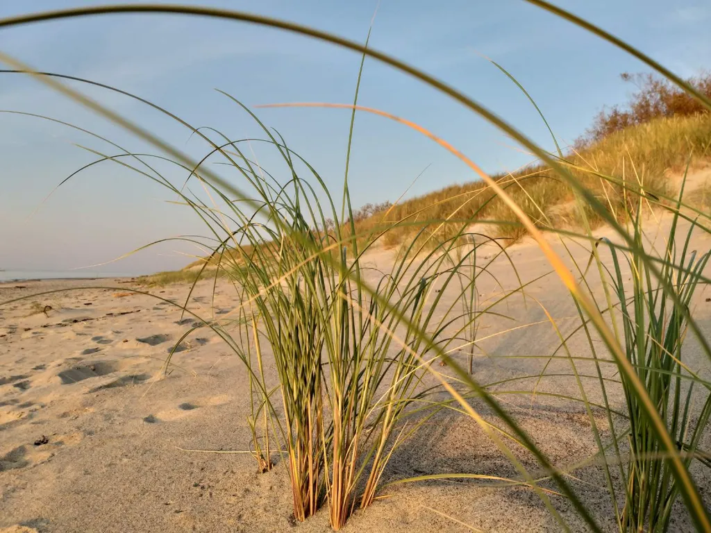 Квартира Двухкомнатная чудная квартира — Светлогорск