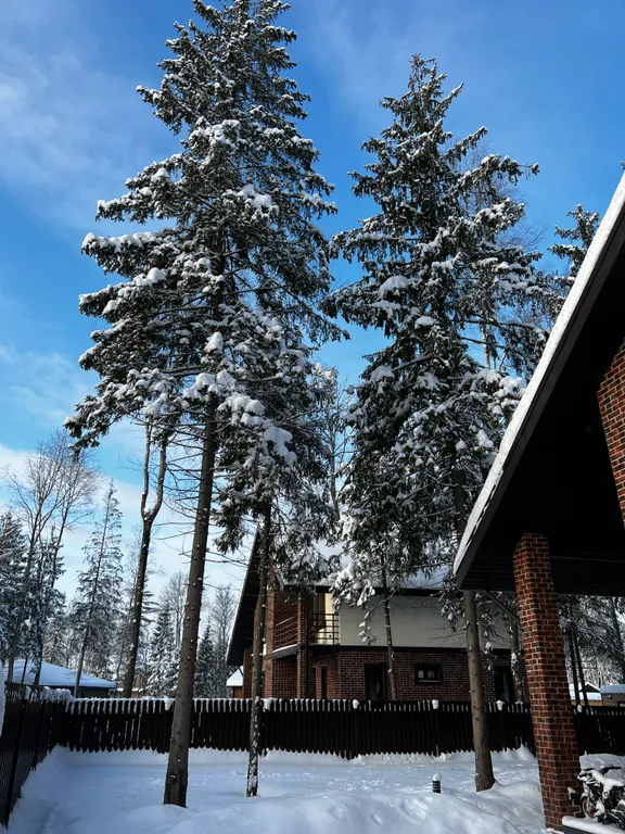 Просторный дом с камином в сосновом лесу