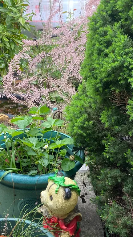 Полдома в центре города недалеко центр. рынок, удобный выезд в горы