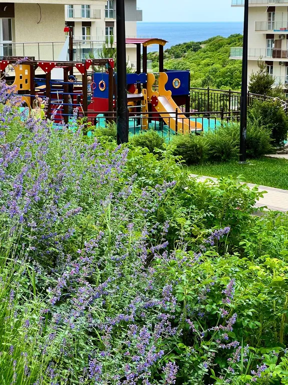 Апартаменты Санрайз с видом на море, лес и горы