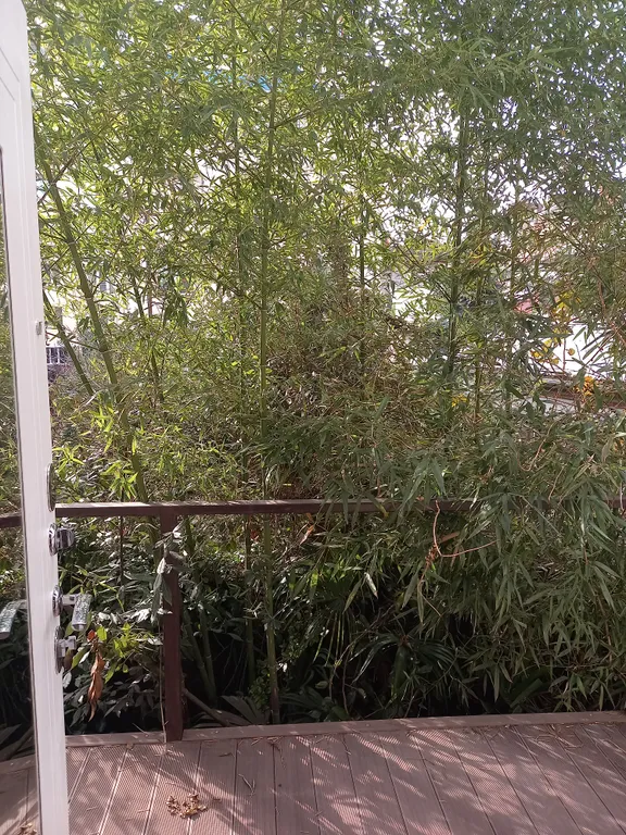 Апартаменты Terrazza рядом с вокзалом, с террасой, комфортные и уютные