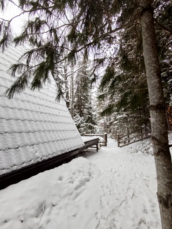 Атмосферный дом шале с видом на лес