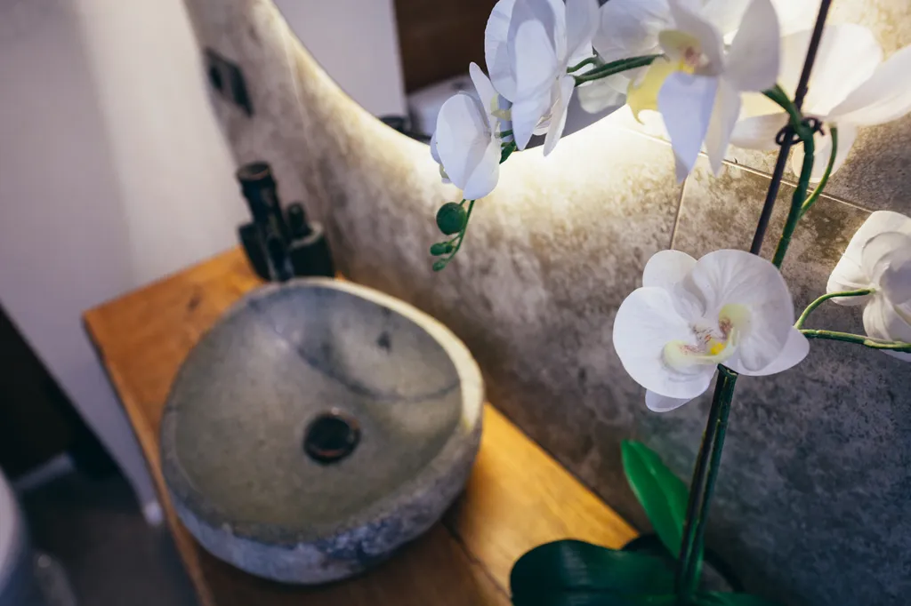 Orchid apartments Zelenogradsk Center