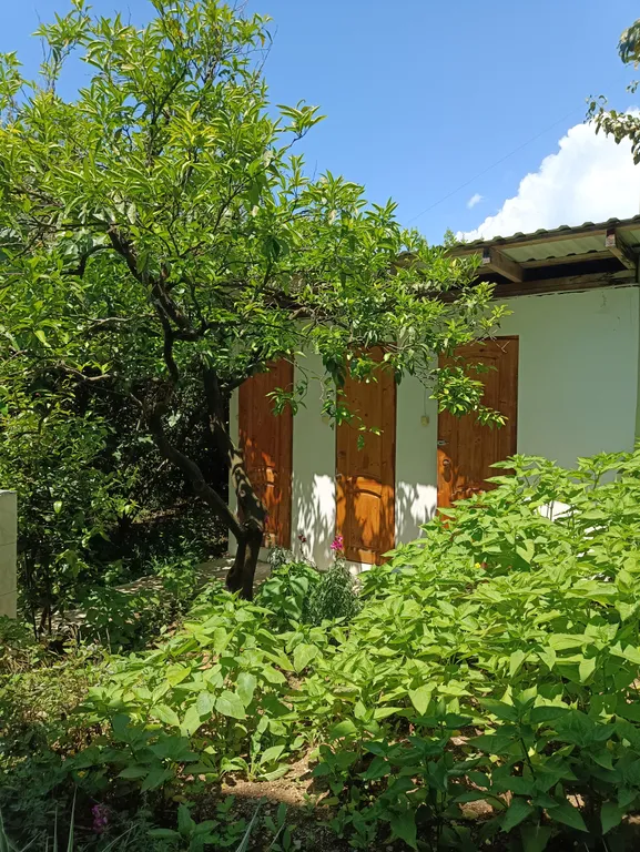 Первый этаж с отдельным входом в районе центрального рынка