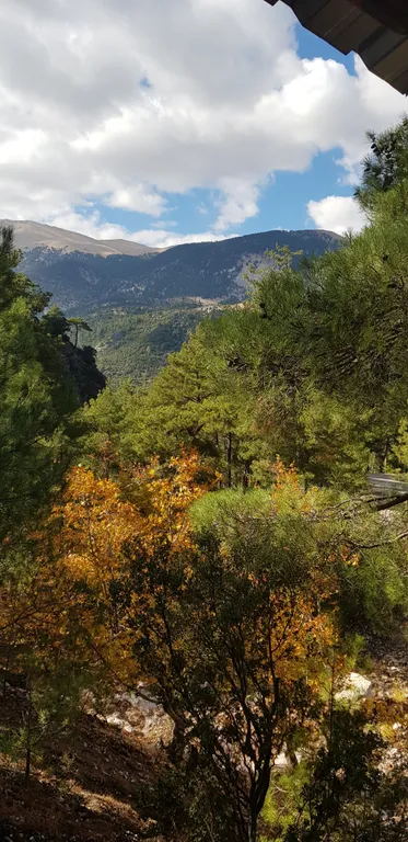 Уютная квартира в райском месте