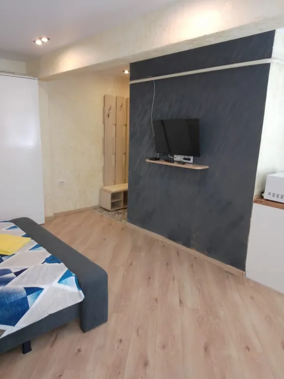 Уютная студия на Николо-Козинской