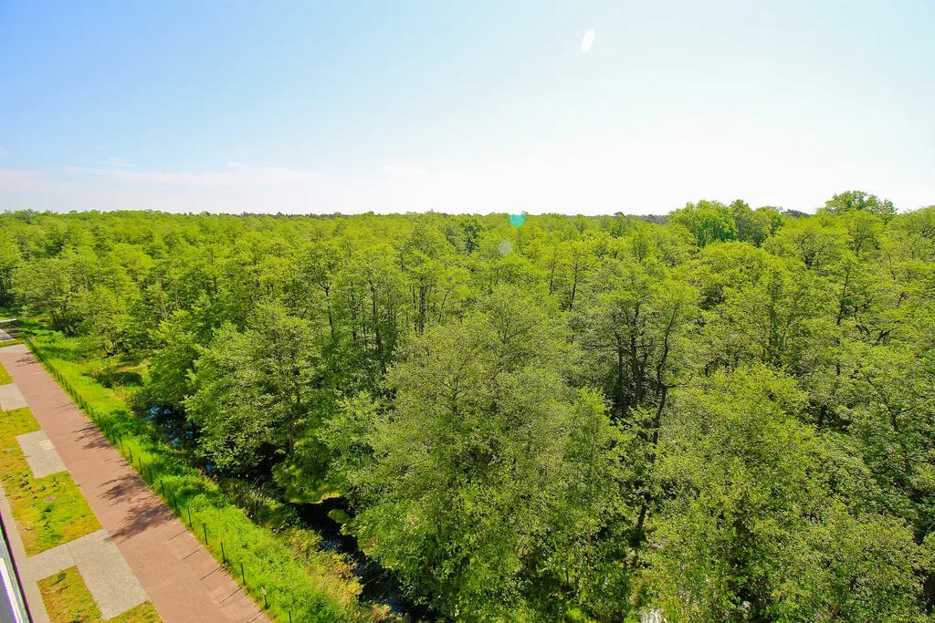 Квартира в видом на Куршскую косу