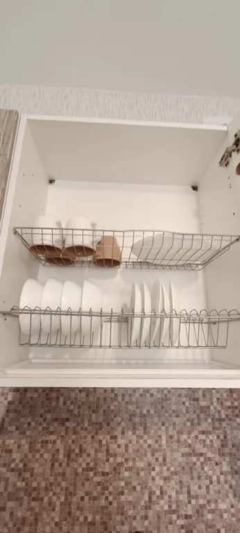 Тропическая студия в центре