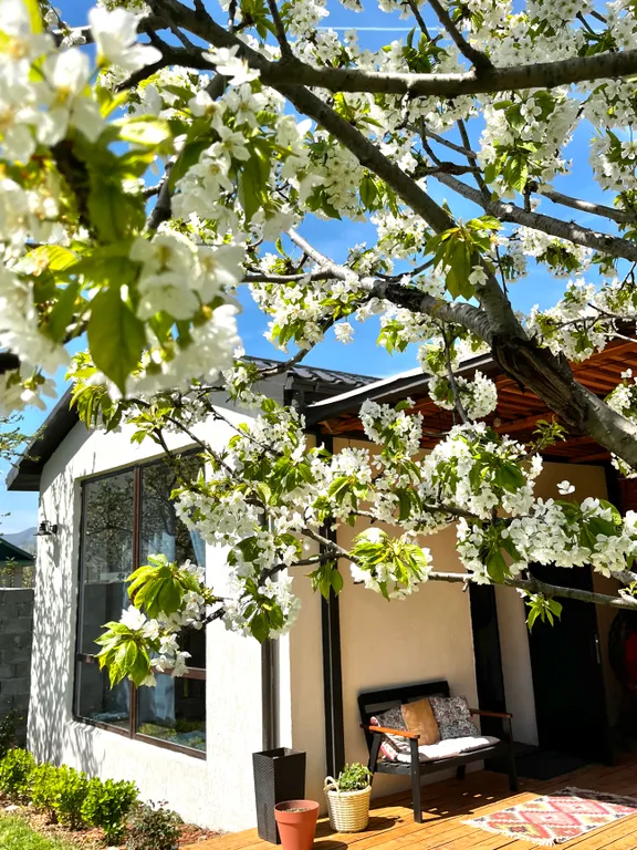 Домик с террасой и своей территорией