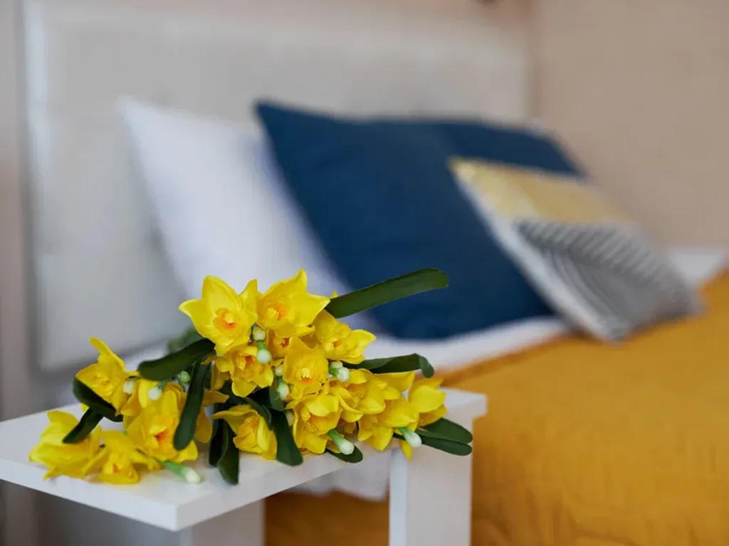 Квартира Идеальная квартира для утреннего кофе с видом на горы — Сириус