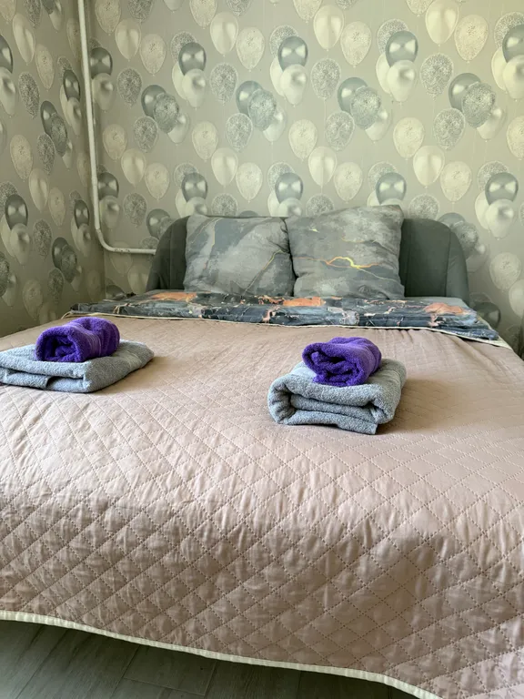 Просторная двухкомнатная квартира на кск — аренда посуточно в Чита