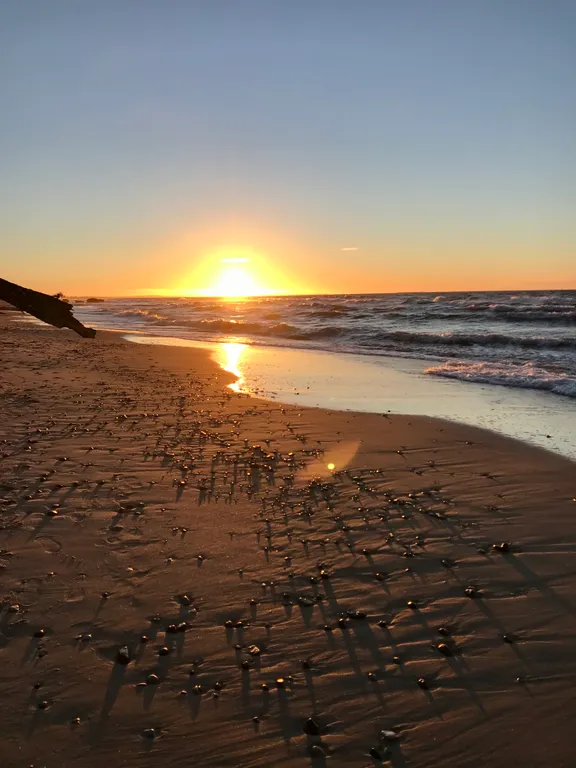 Апартамент у моря Александра Кранц
