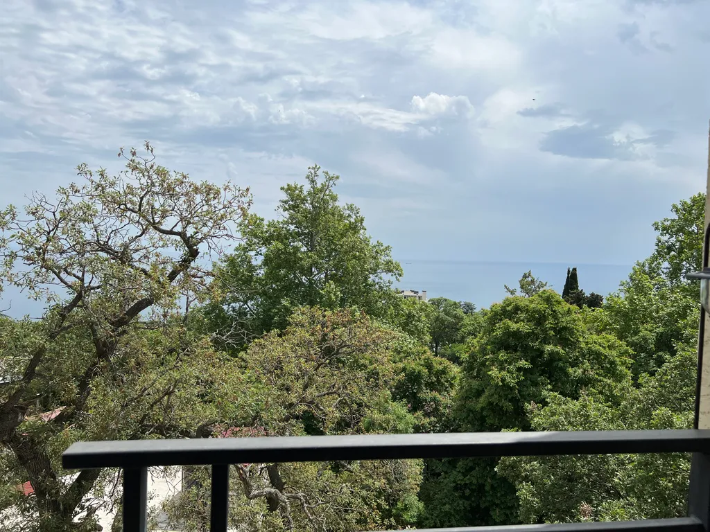 Апартамент веточка сакуры