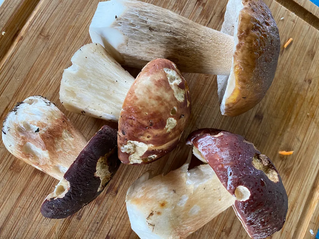 Озерный домик на Онего