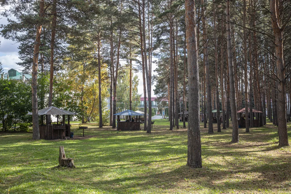 Апартаменты с видом на лес