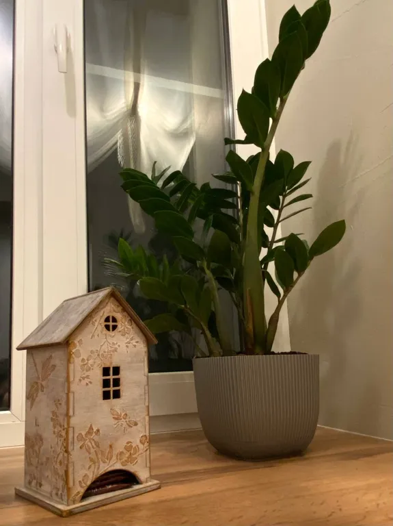 Квартира Уютная квартира в историческом центре — Великий Новгород