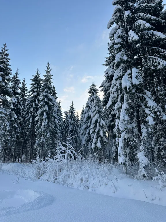Уютный домик в скандинавском стиле