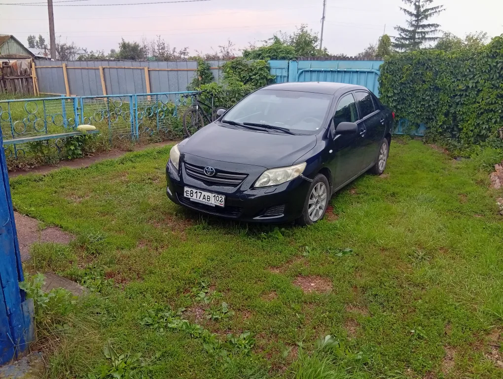 Тихая база Нью-амстердам на озере кожак