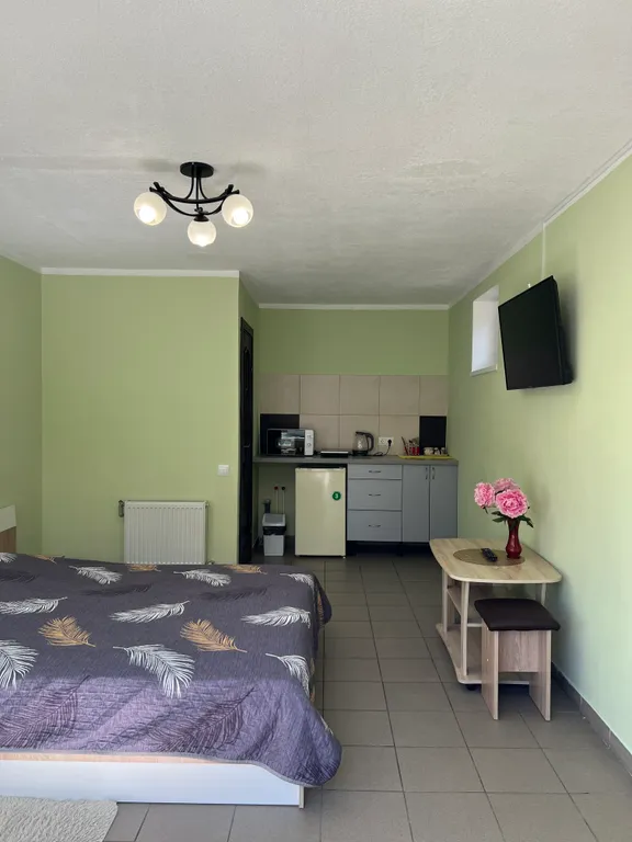 Квартира-студия в частном доме