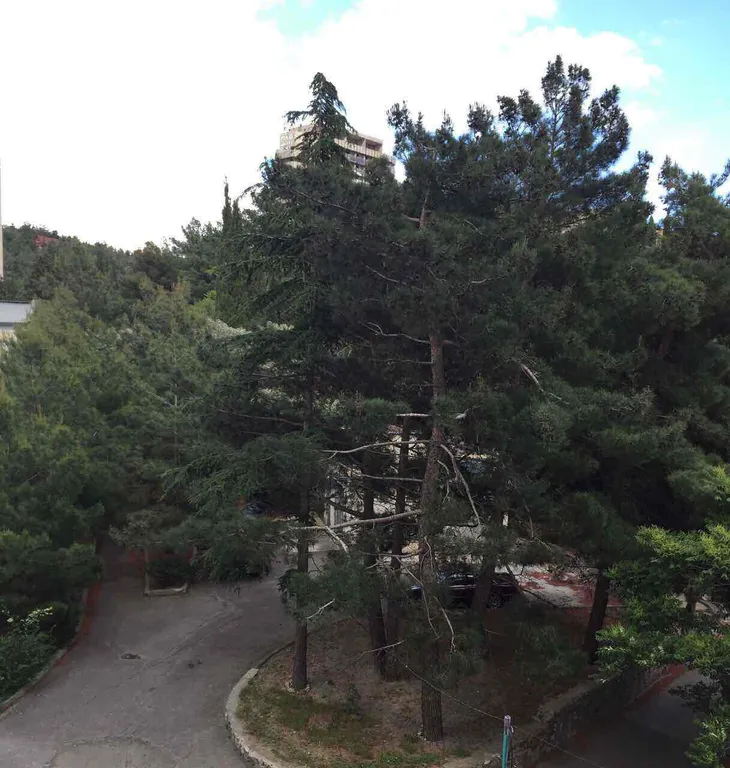 Квартира 2-комнатная Квартира — Алушта