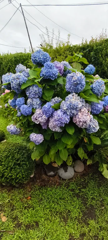 Квартира Квартира Двухспальный комфортабельный номер в гостевом доме — Сухум