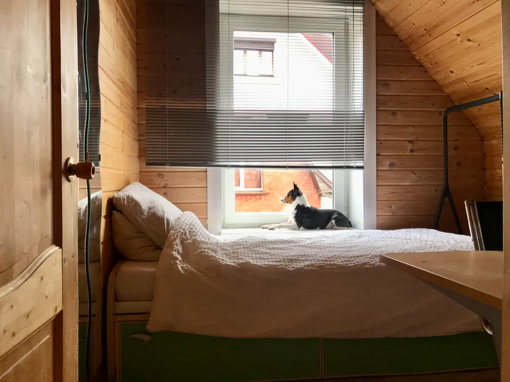 Уютный дом с камином «Сосны и Звёзды»