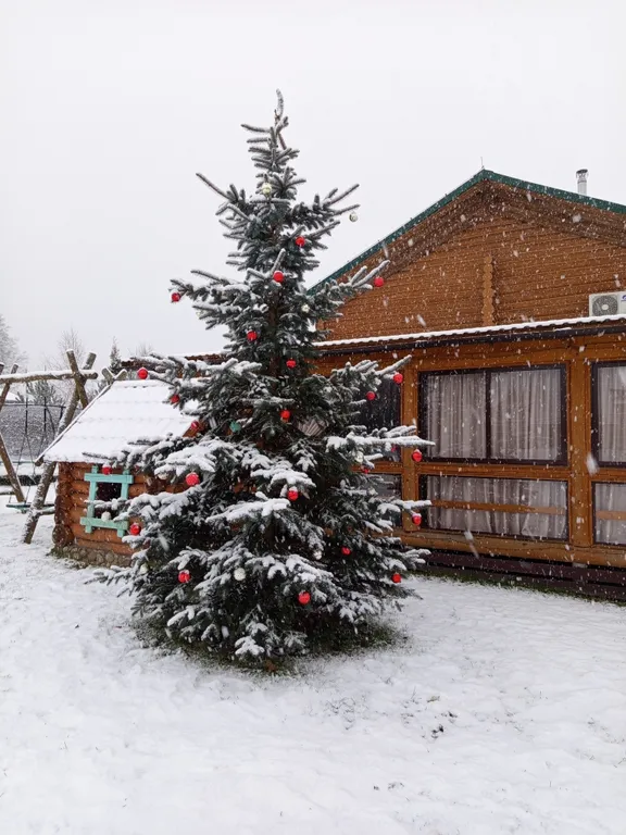 Дом мечты прямо у Минска усадьба Гринкевичи с баней, купелью и Wi-Fi