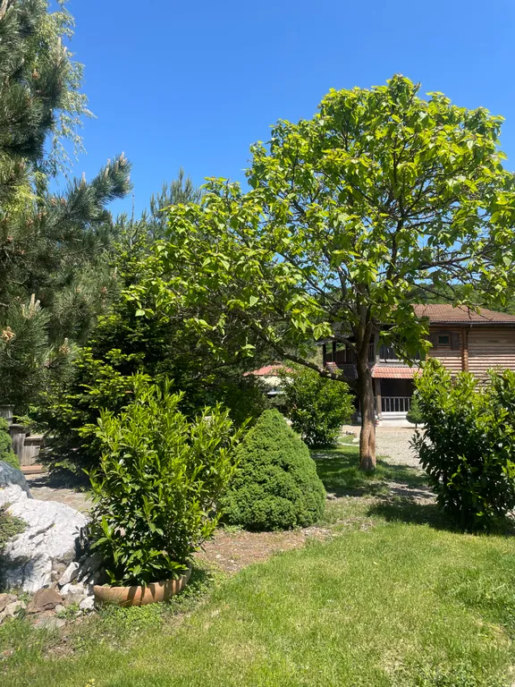 Дом из сруба с баней и бассейном